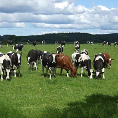 Wapnoe Gardshotell Halmstad Dış mekan fotoğraf